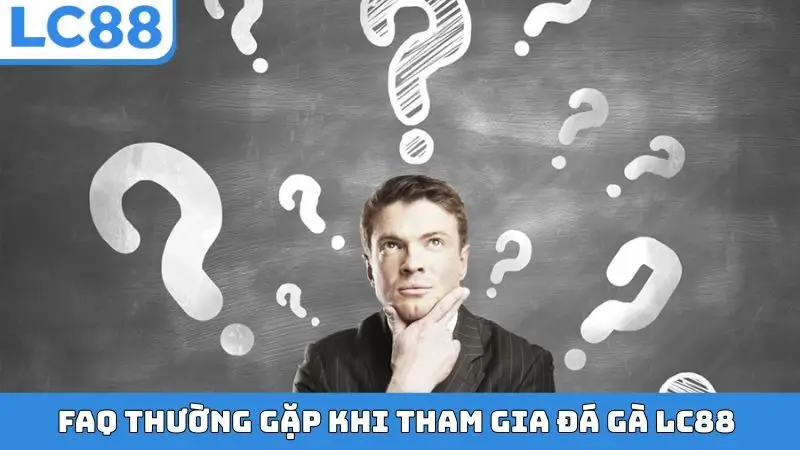 FAQ thường gặp khi tham gia đá gà LC88