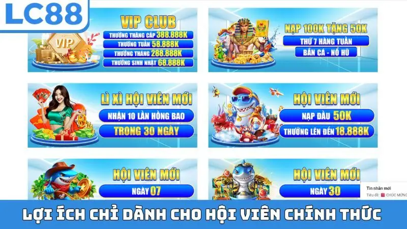 Lợi ích chỉ dành cho hội viên chính thức